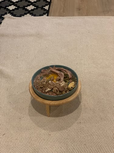 Customer photo review of Ceramic Slow Feeder Pet Bowl for Dogs and Cats