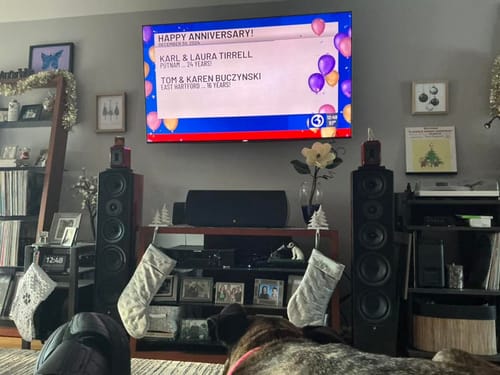 Customer photo review of Verus V8T 8 Inch Floorstanding Tower Speaker