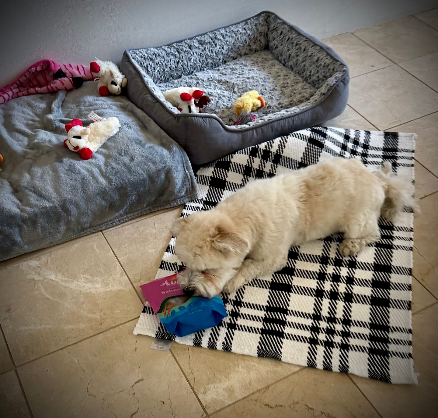 Customer photo review of Freeze Dried Dog Treats - Salmon Puffs