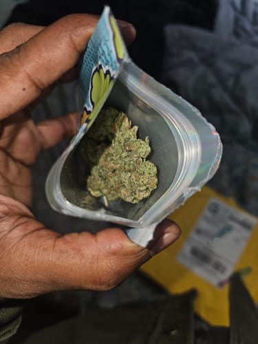 Customer photo review of OG Kush - 4 Grams - Indica