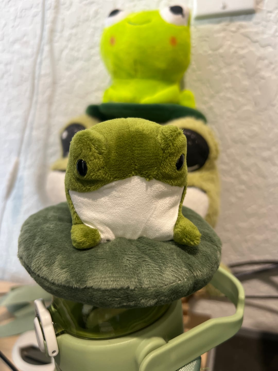 Customer photo review of Henry The Frog Sitting On Lily Pad