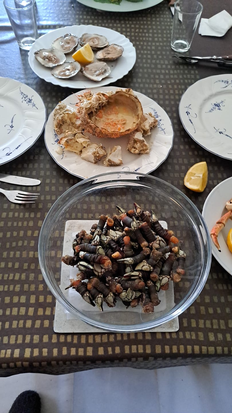 Customer photo review of Percebe