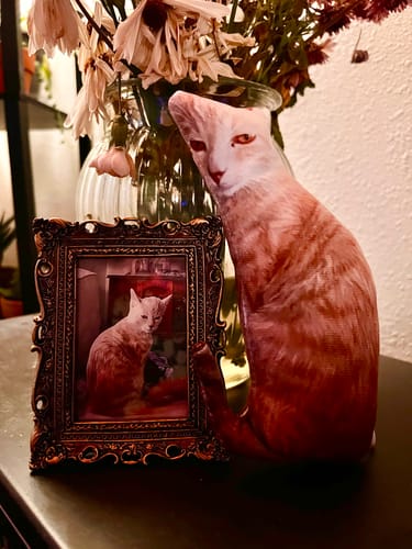 Customer photo review of Custom Pet Pillow