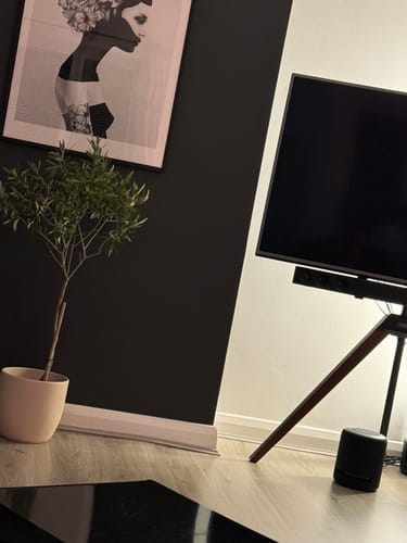Customer photo review of Picasso FT65 TV Stand