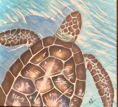 Customer photo review of Ohuhu Honolulu 320 Colors Dual Tips Alcohol Art Markers