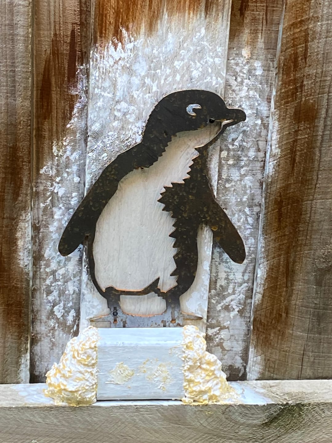 Customer photo review of Penguin