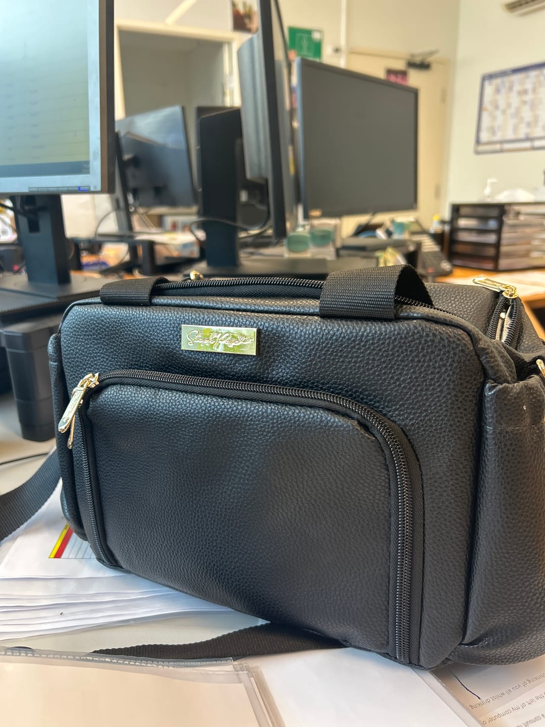 Customer photo review of Luxe Insulated Lunch Bag - Black