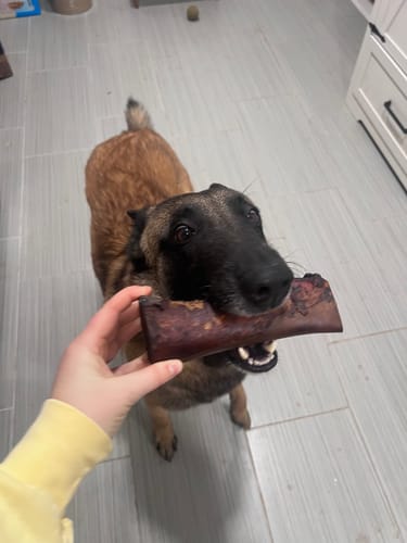 Customer photo review of Large Dog Black Friday Bundle II (4x 5oz Jerky Bags + 4x LARGE Smoked Marrow Bones)