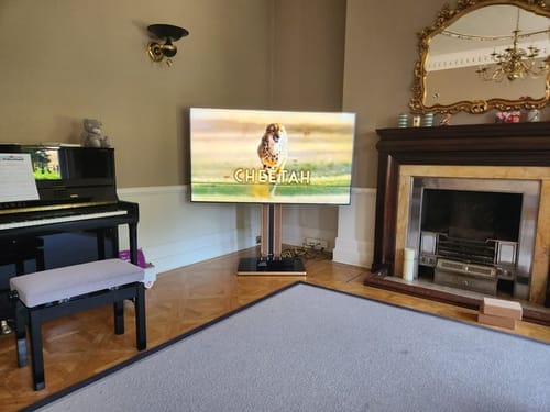 Customer photo review of Cantor FT78 TV Stand