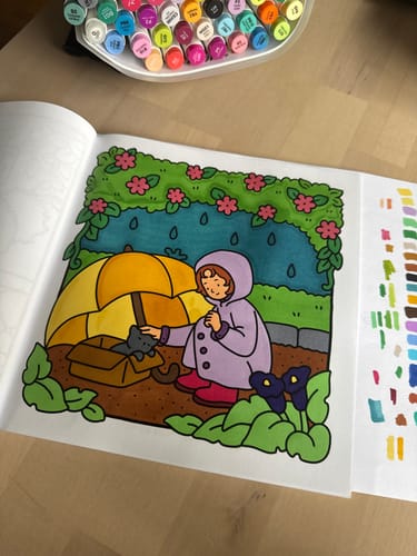 Customer photo review of Ohuhu Honolulu 48 Colors Dual Tips Alcohol Art Markers