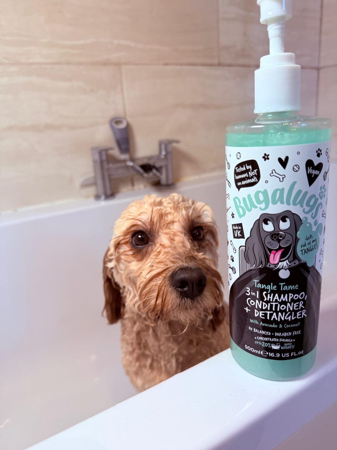 Customer photo review of 3 in 1 Tangle Tame Dog Shampoo, Conditioner & Detangler