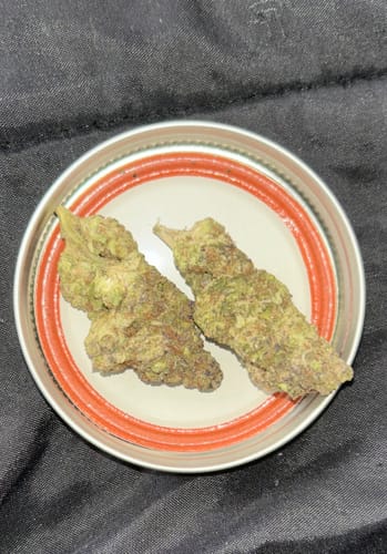 Customer photo review of Biscotti