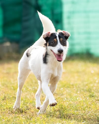 Customer photo review of Nature Protect