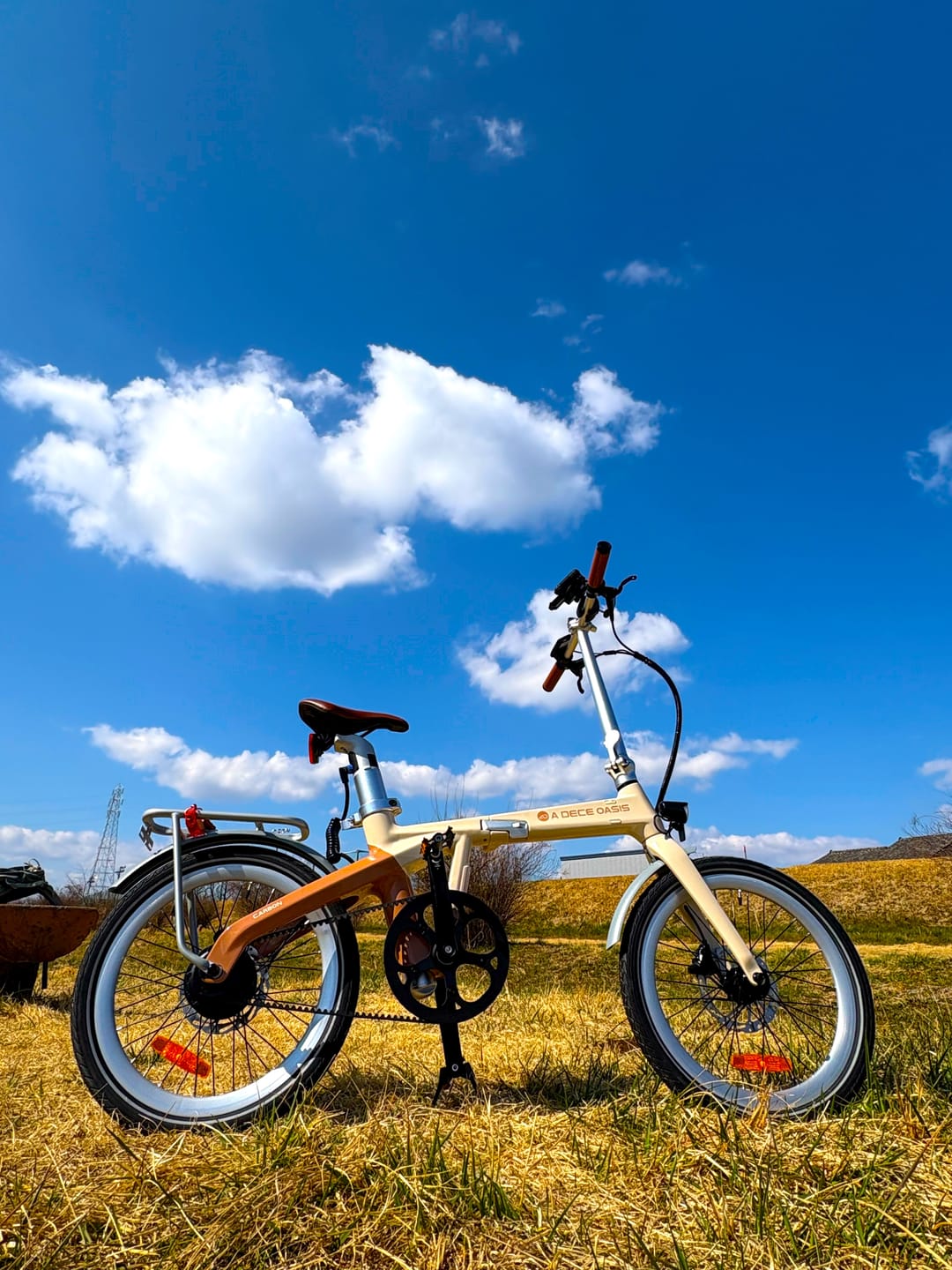 Customer photo review of Air Carbon 折りたたみ電動アシスト自転車