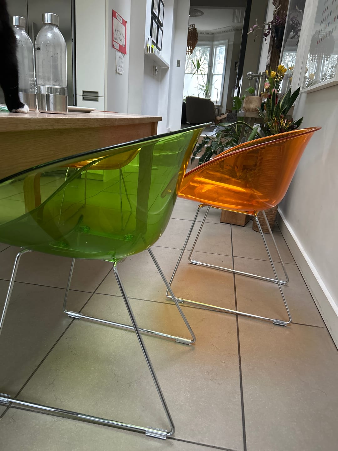 Customer photo review of Clear Sled Base Felt Chair Leg Protectors | Scratch & Noise-Free