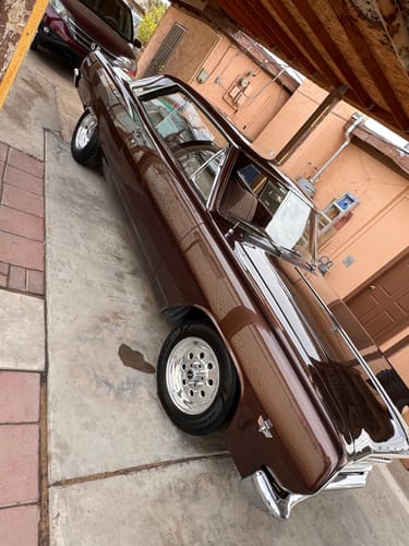 Customer photo review of Paint Enhancement Kit