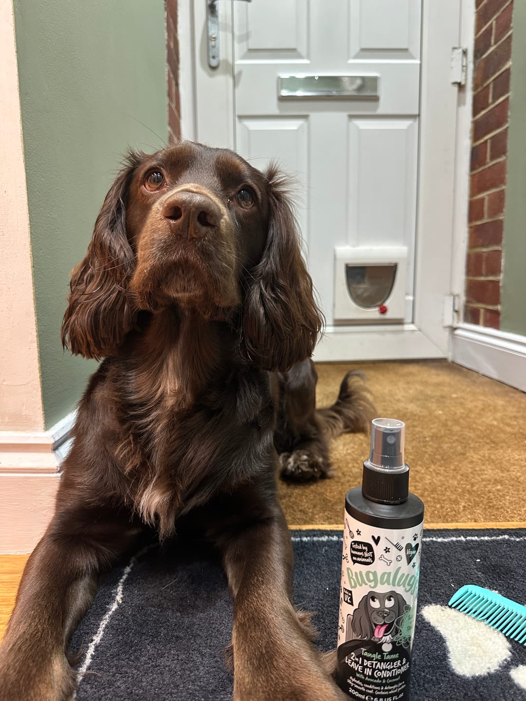 Customer photo review of 2 in 1 Detangler & Leave in Conditioner with Avocado & Coconut for Dogs