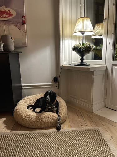 Customer photo review of CalmBed - Motverkar stress & hjälper mot ångest