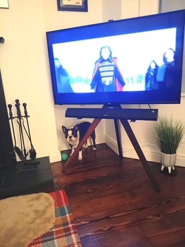 Customer photo review of Picasso FT65 TV Stand