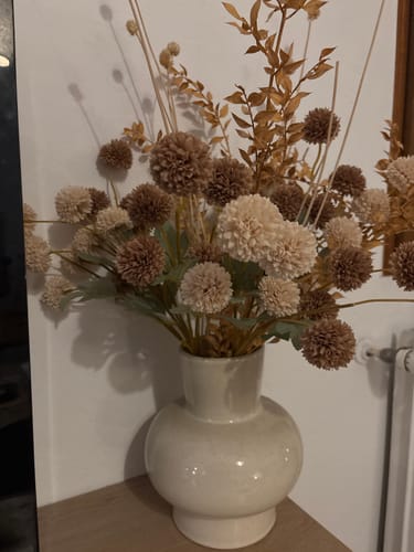 Customer photo review of Fleur de Kiku - Mélange Crème (10 tiges)