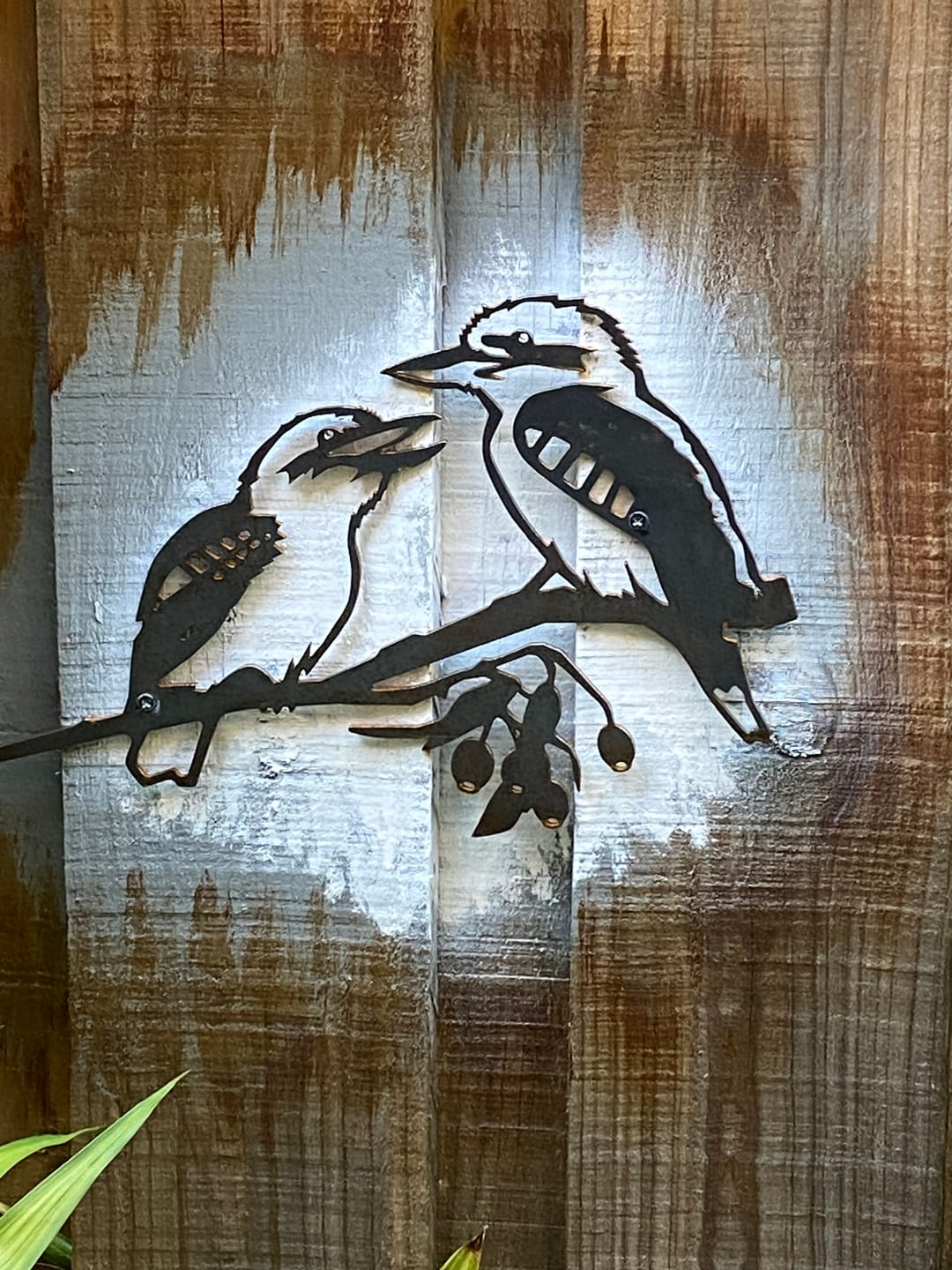 Customer photo review of Pair of Kookaburras