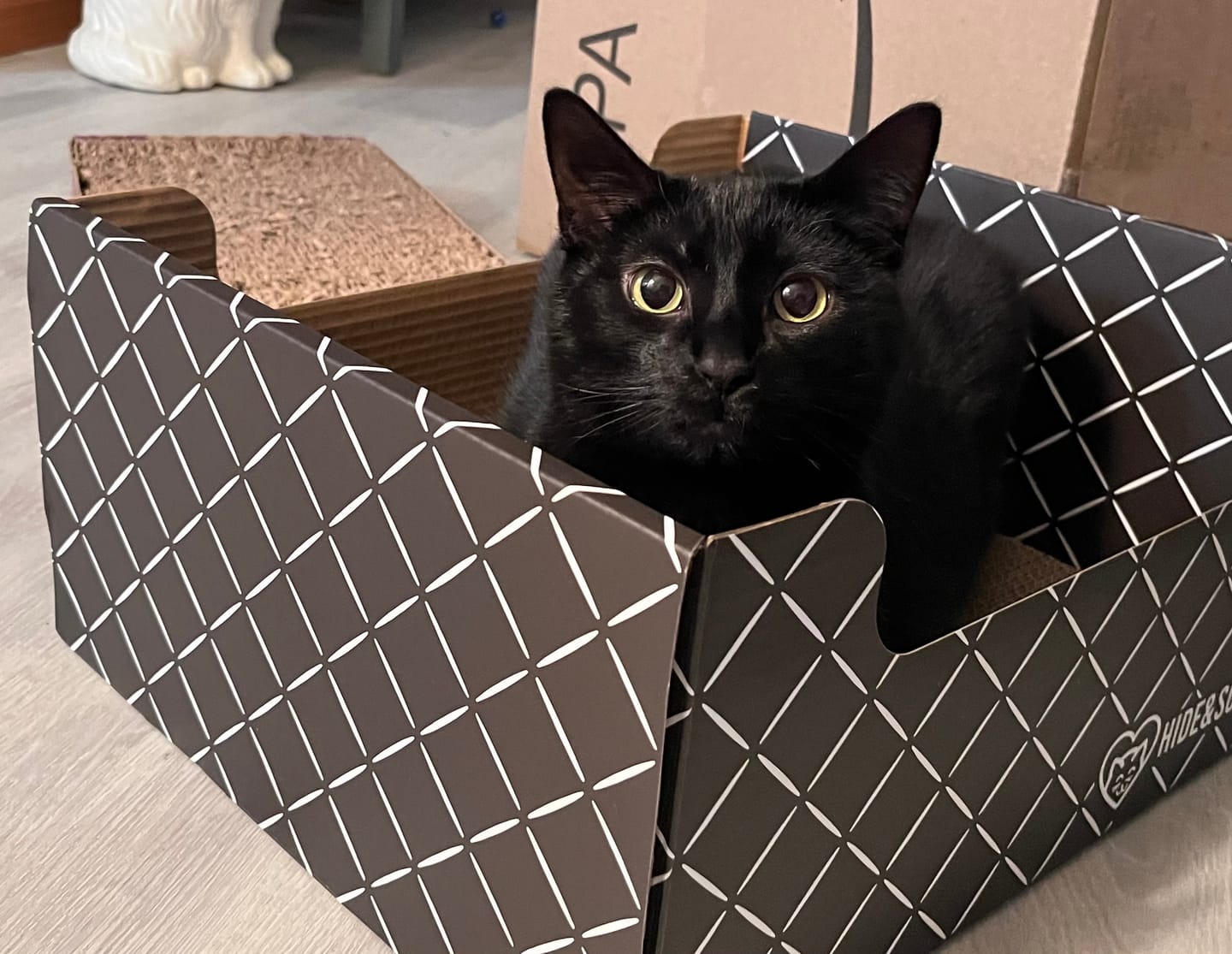 Customer photo review of Hide & Scratch Extra-Large Cat Scratcher Box