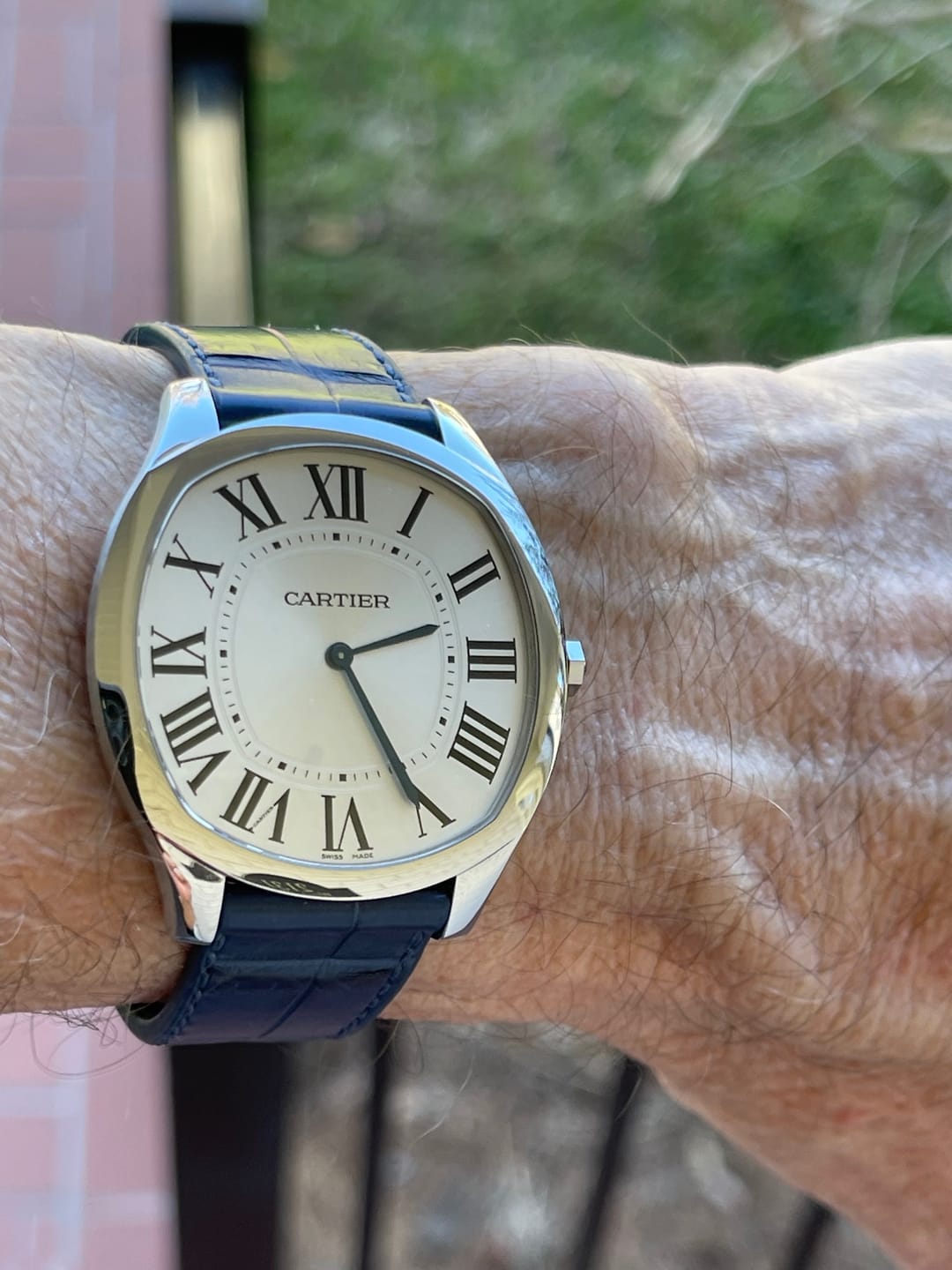 Customer photo review of Matte Azure Blue Alligator