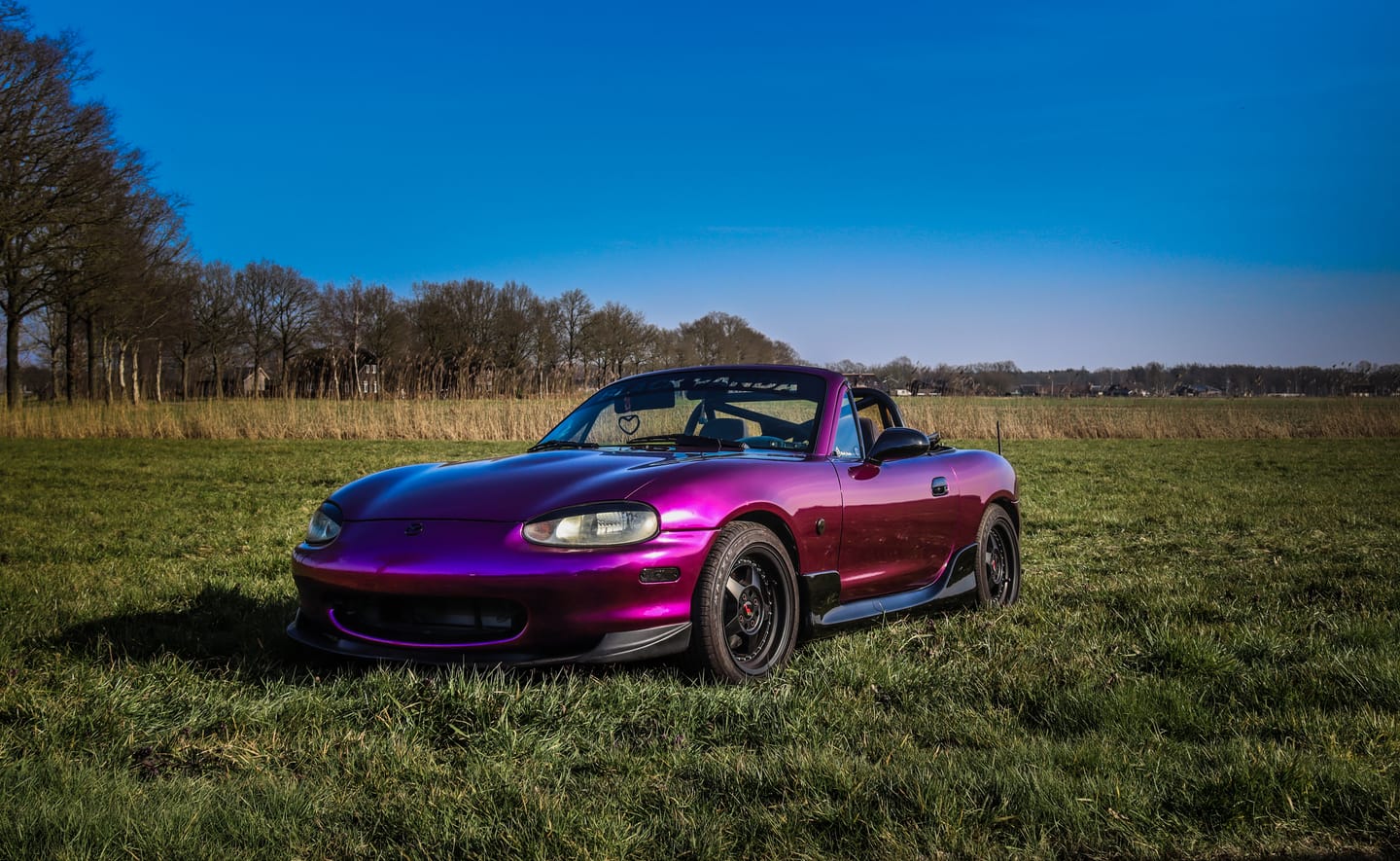 Customer photo review of Glossy Metallic Grape Purple Vinyl Wrap