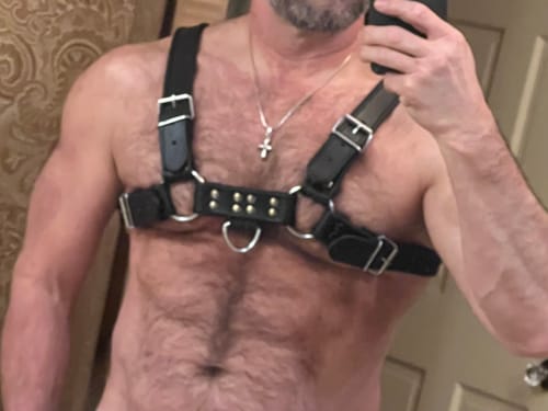 Customer photo review of THE BULLDOG