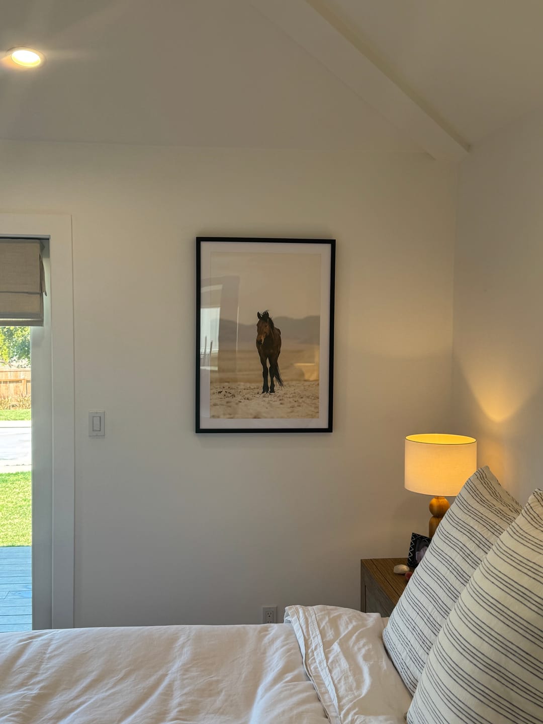 Customer photo review of Mesa Mustang