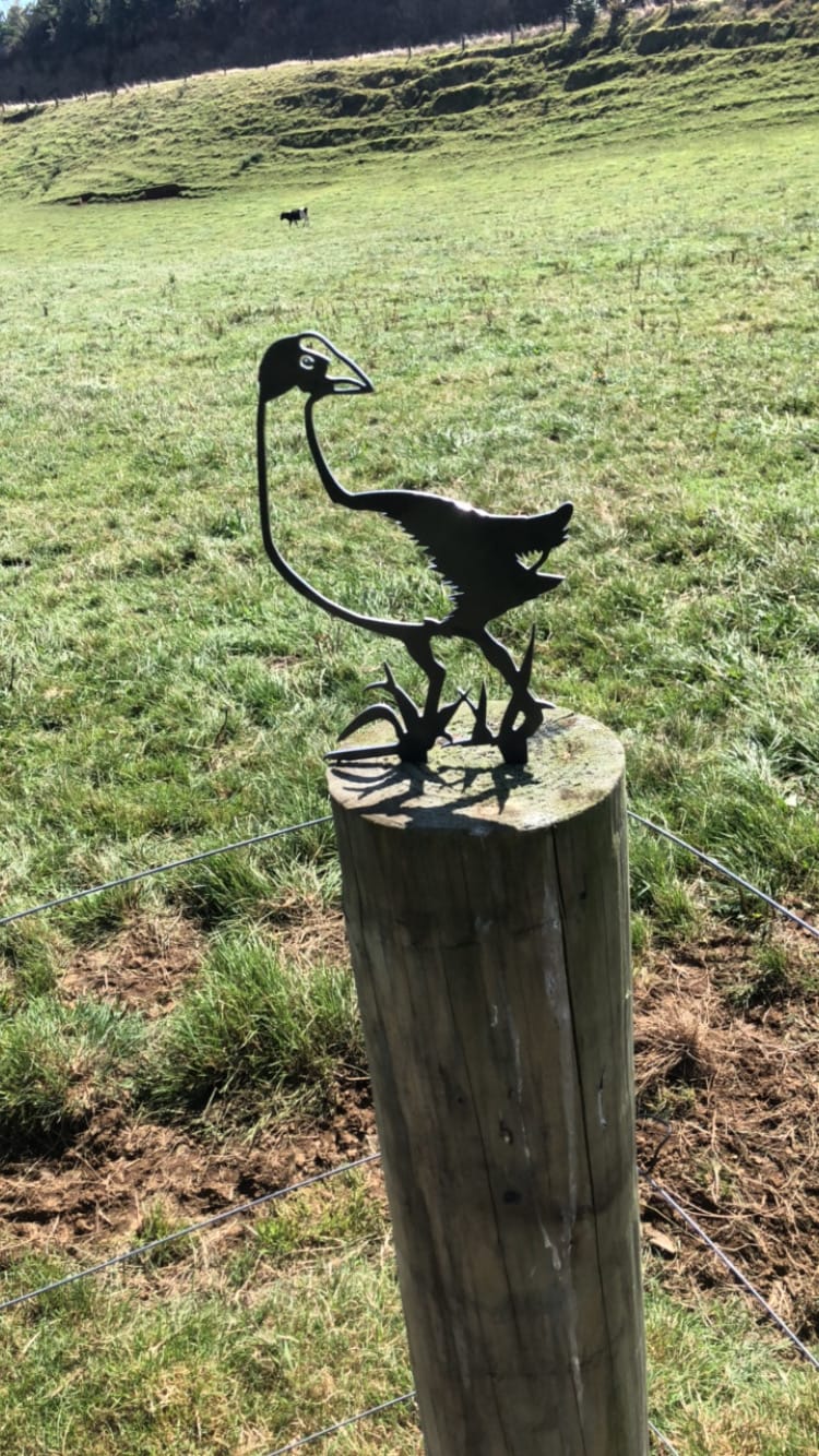 Customer photo review of Pūkeko