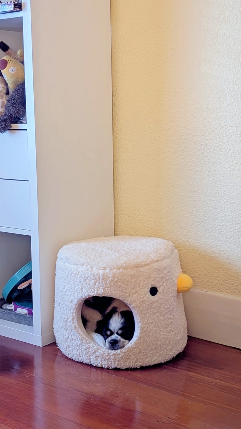 Customer photo review of PURROOM Little Chicken Series- Enclosed Plush Pet Bed