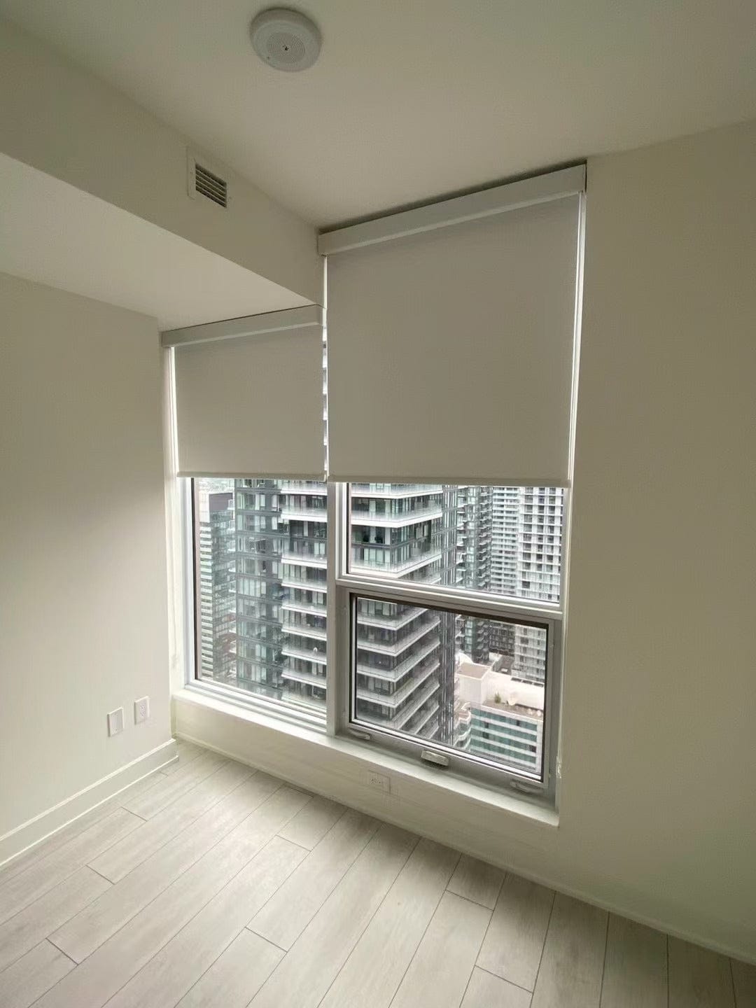 Customer photo review of Blackout Roller Shades