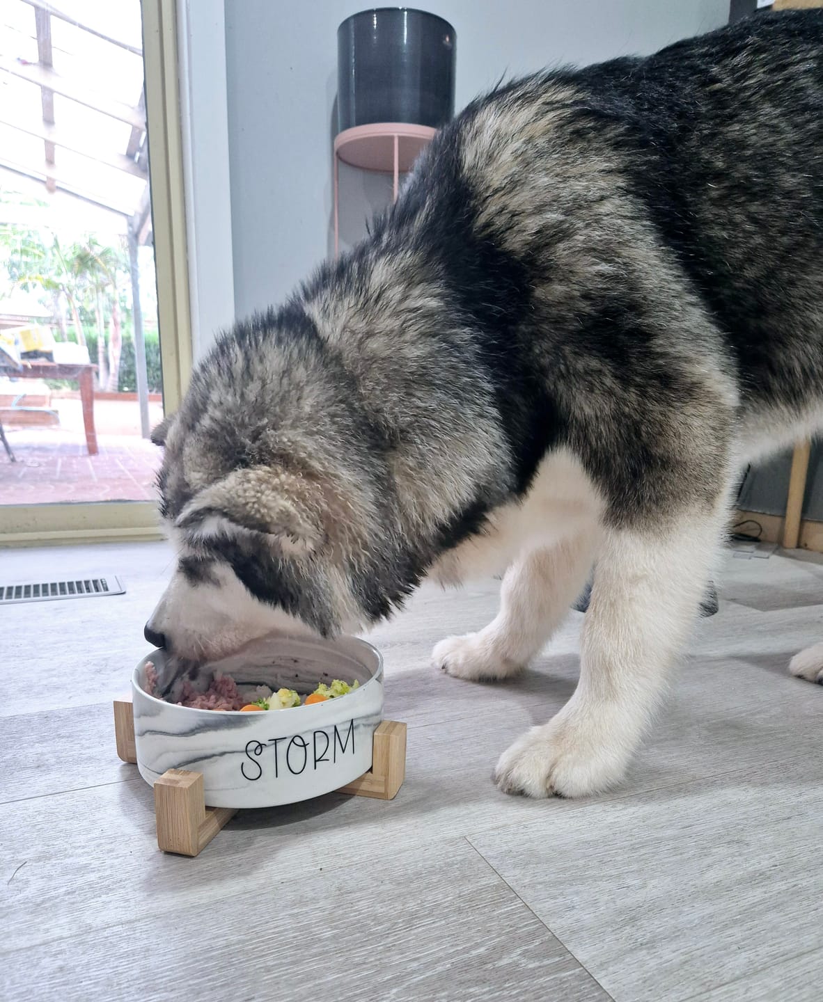 Customer photo review of Personalised Single Ceramic Bowl with Wooden Support