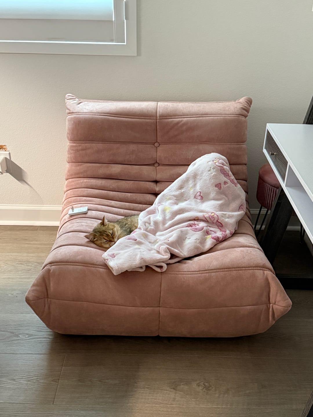 Customer photo review of Chillax Lounger