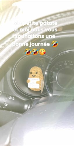 Customer photo review of PATATE POSITIVE