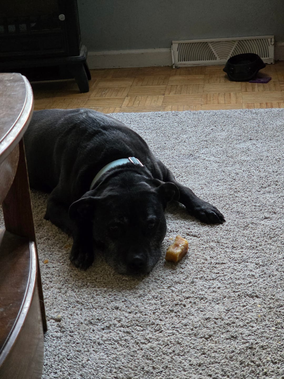 Customer photo review of Himalayan Yak Chew (MEGA)