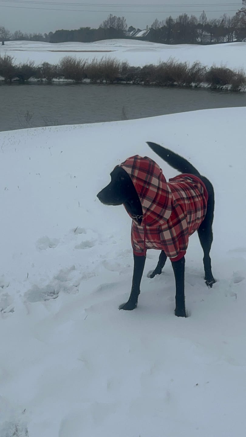 Customer photo review of Red Plaid Human Hoodie