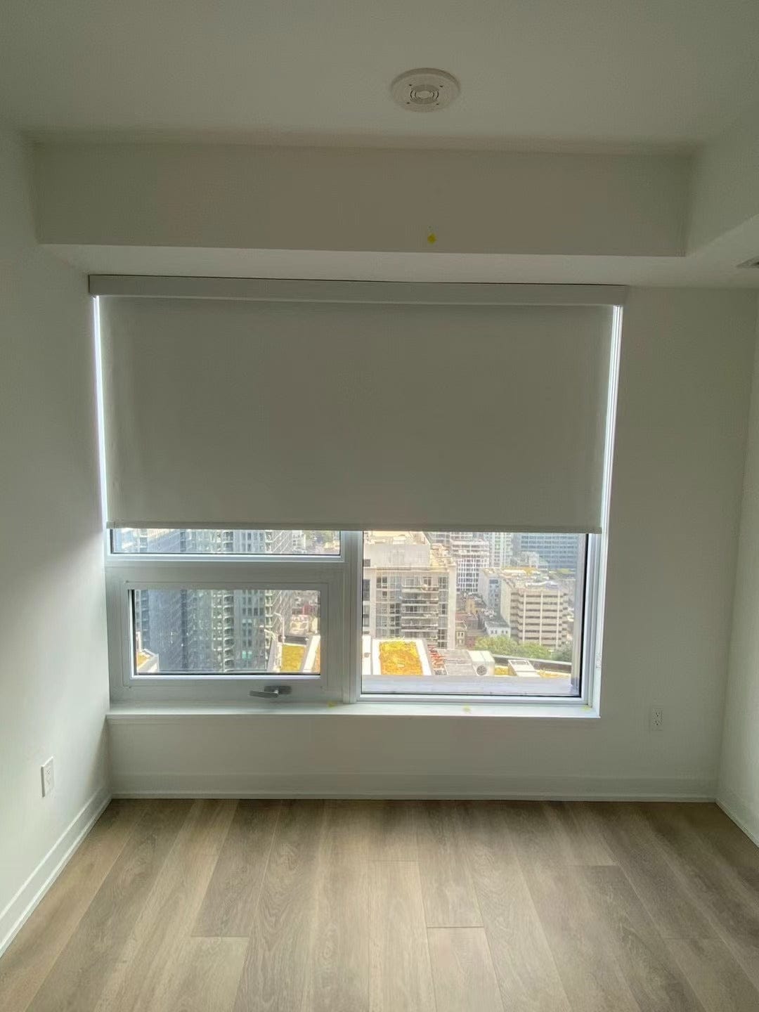 Customer photo review of Blackout Roller Shades