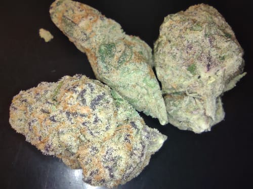 Customer photo review of Lemon Thunder Fuck