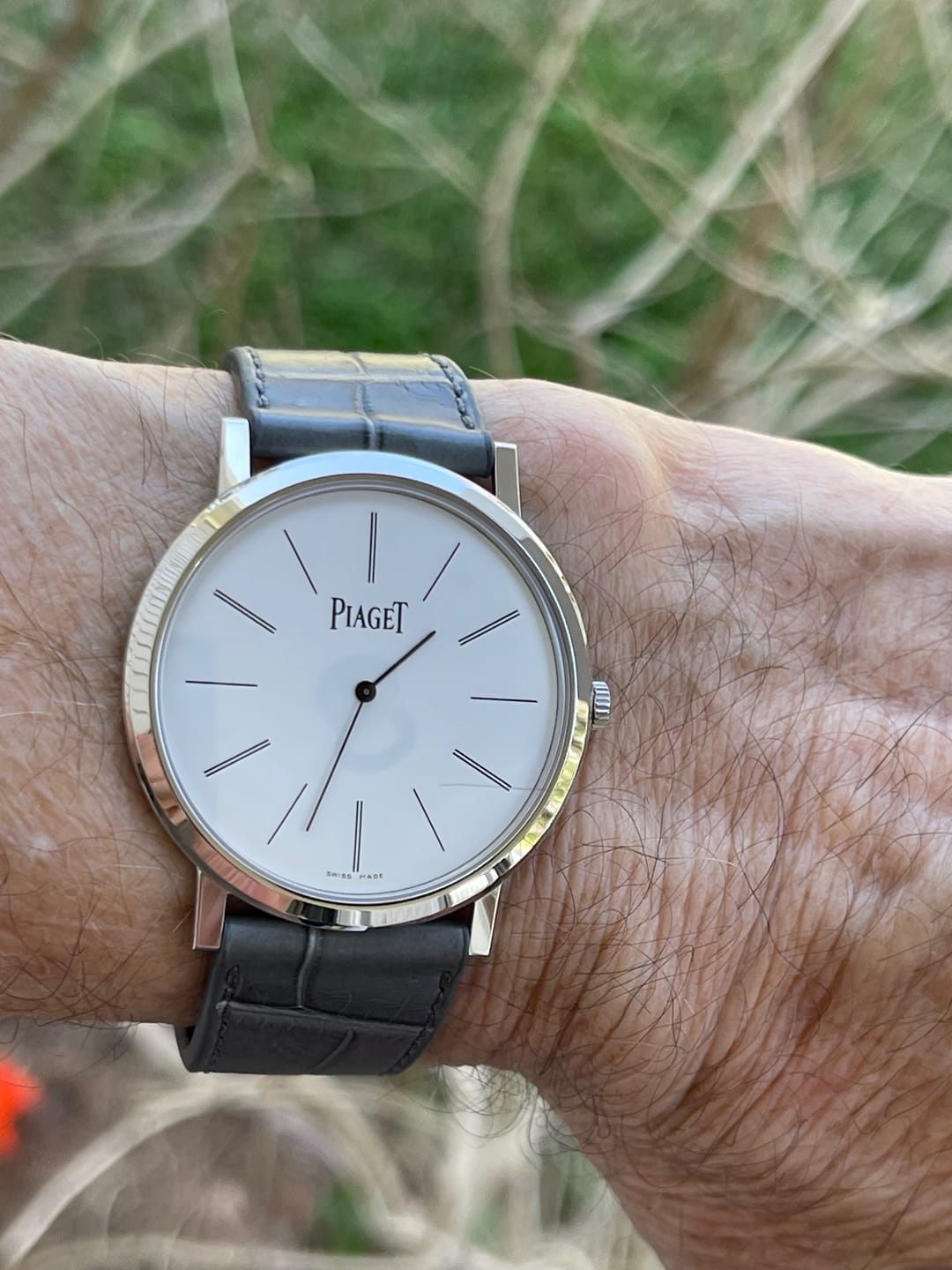Customer photo review of Matte Grey Alligator