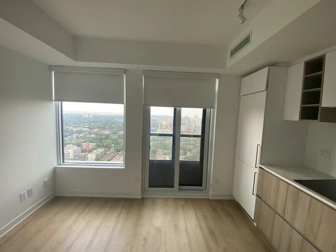 Customer photo review of Blackout Roller Shades