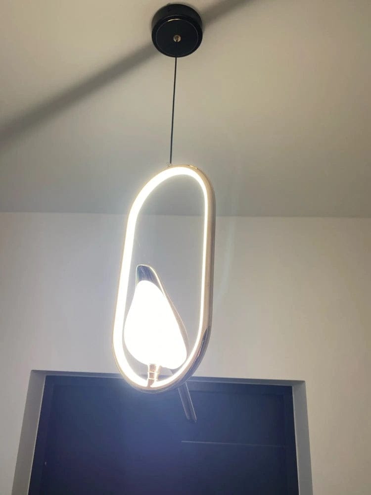 Customer photo review of Bird Pendant Light