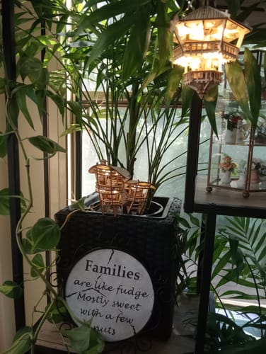 Customer photo review of Horizons Edge