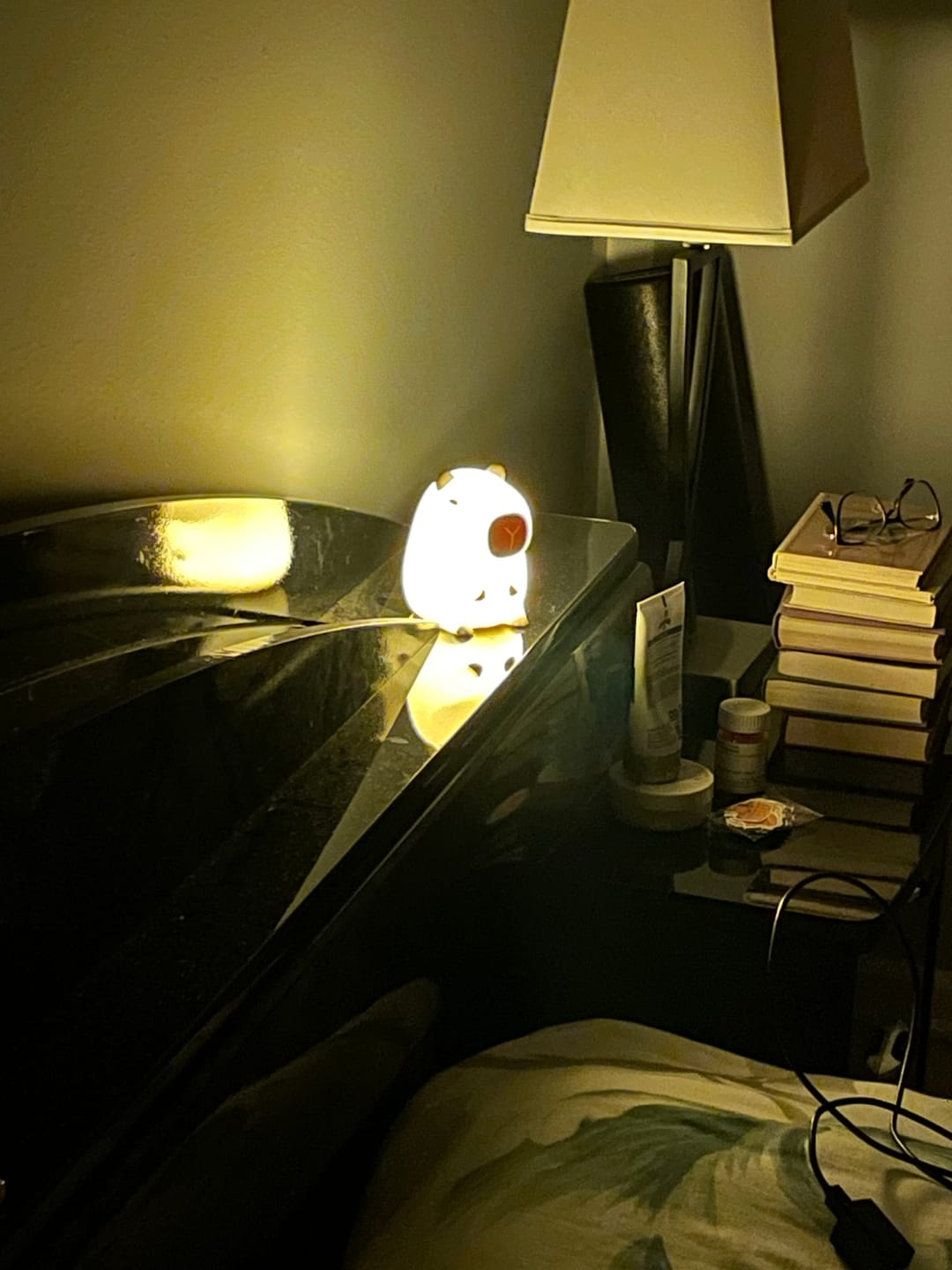 Customer photo review of MeWaii® Capybara Squishy Night Light - Perfect Gift 🎁