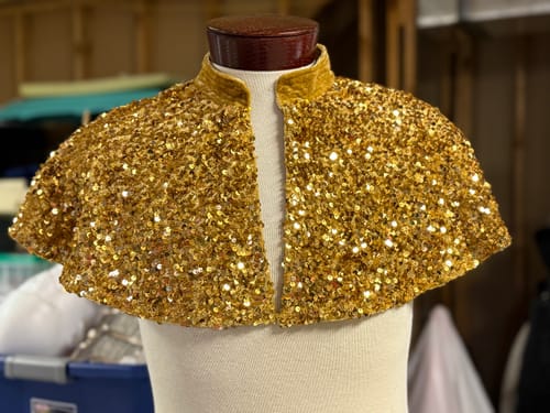 Customer photo review of Bright Gold Sequin on Velvet