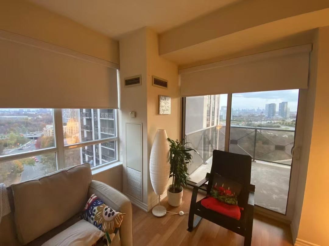 Customer photo review of Blackout Roller Shades