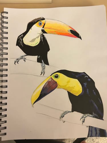 Customer photo review of Ohuhu Bleedproof Double-Sided Marker Pad, Spiral-Bound