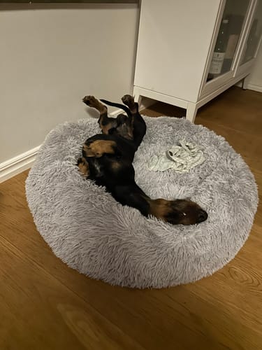 Customer photo review of CalmBed - Motverkar stress & hjälper mot ångest