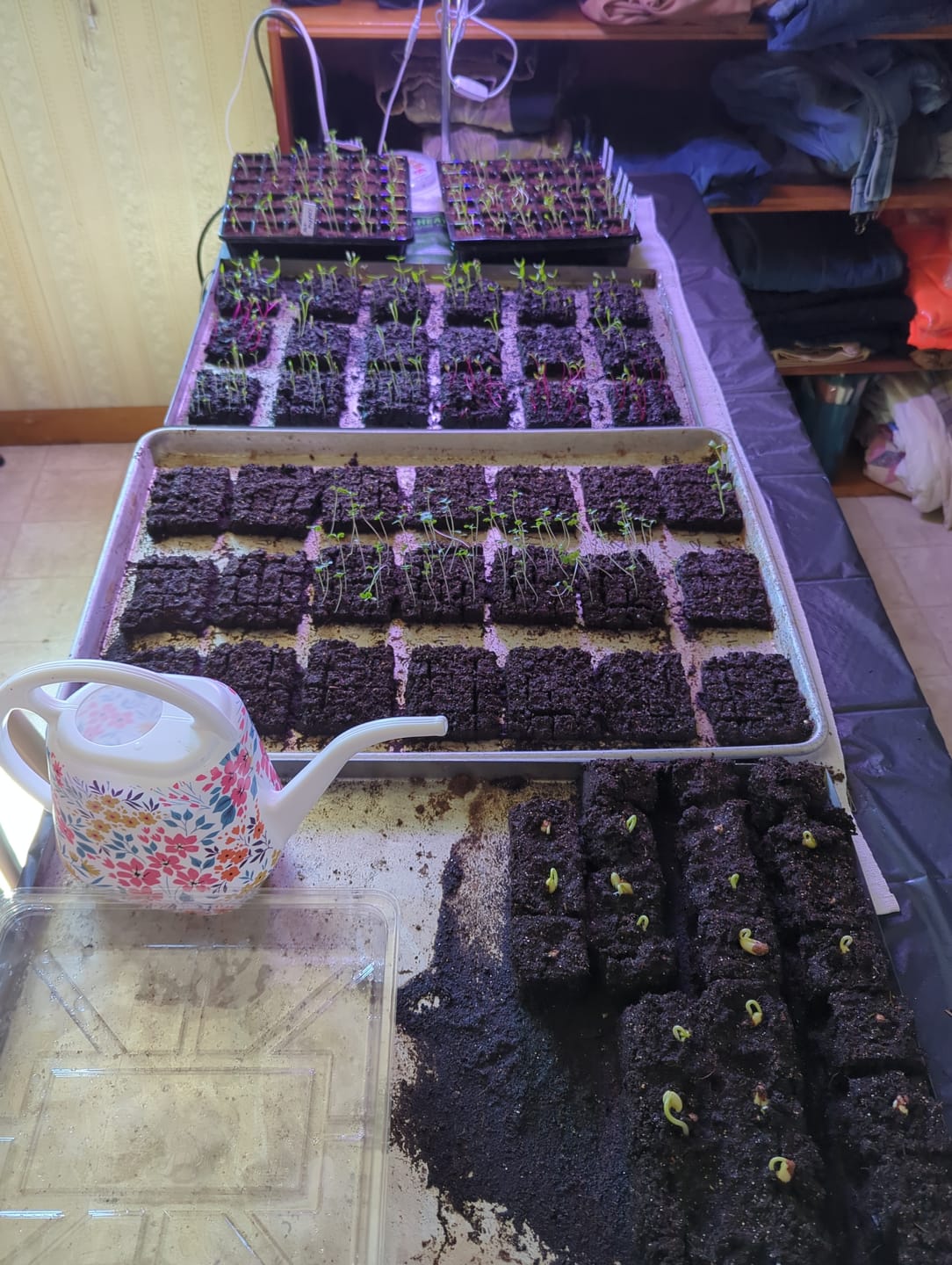 Customer photo review of Soil Block Maker Large 4 Cells